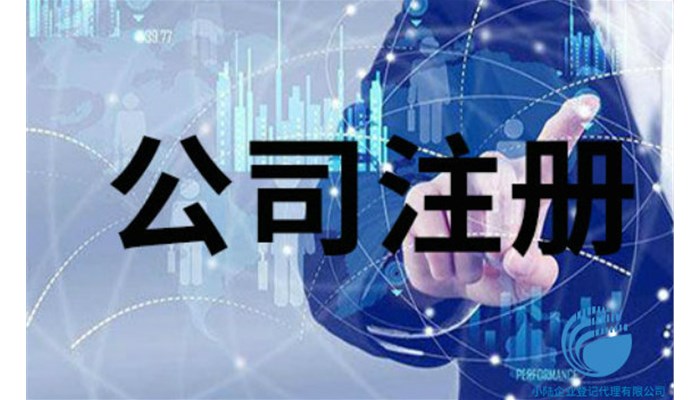 公司类型